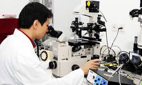 Nghị định sửa đổi, bổ sung một số điều của Nghị định số 133/2008/NĐ-CP ngày 31 tháng 12 năm 2008